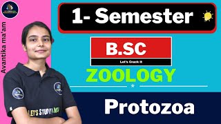 Protozoa  Bsc Zoology 1st Semester  Avantika Maam [upl. by Asiram]