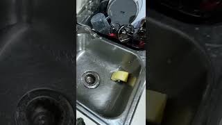 dishwash asmr dishwasher soap water cleaning cutlery householdchores kitchenchores [upl. by Drapehs585]