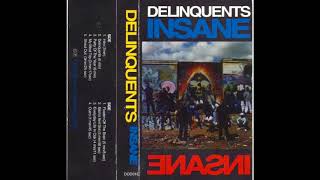 Delinquents  Insane 1992  Hip Hop  Gangsta  Full Album [upl. by Otrebmal]