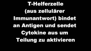 humorale Immunantwort Facharbeit [upl. by Publia998]