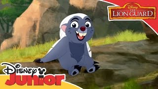 The Lion Guard Unbungalieveable  Whos the Better Babysitter  Official Disney Junior Africa [upl. by Fokos]