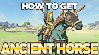 How to Get the Ancient Horse Armor in Breath of the Wild The Champions Ballad  Austin John Plays [upl. by Ediva]