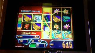 Mystical Dragons Slot Bonus  WMS [upl. by Reaht]