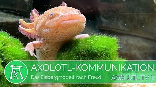 AxolotlKommunikation Das Eisbergmodell nach Freud einfach erklärt [upl. by Ellennahc361]