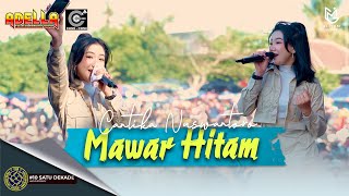 CANTIKA NUSWANTORO  MAWAR HITAM LIVE ADELLA X CUMI CUMI AUDIO 1 DEKADE PEMUDA CURAHJATI BERSATU [upl. by Paik653]