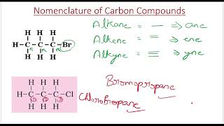 Nomenclature  Carbon and its Compounds  Chemistry class 10  Ncert  Aim 2025 🔥 [upl. by Brose]