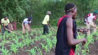 Tanzania Sukuma Bachonga Magembe working in the fields [upl. by Birmingham772]