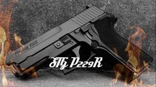 SIG Sauer P229 9mm Review [upl. by Lipscomb762]