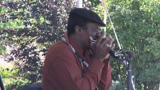 Terry Harmonica Bean  Catfish Blues harp [upl. by Katzen]