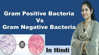 Difference between Gram positive and Gram negative bacteria  In Hindi  Science Explored [upl. by Steep]