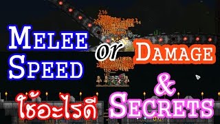 Terraria MeleeSpeed กับ Damage ใช้อะไรดี amp ความลับของการตีเร็ว [upl. by Aliakim344]