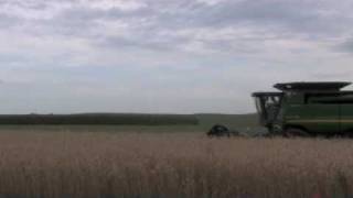 Templeton Rye Distillery Videos  Harvesting Rye in Templeton [upl. by Anayek198]