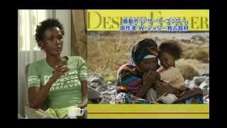 Waris Diries interview for Cine Tsu tvshow in TVTokyo 2010 EnglishJapanese [upl. by Ennovyhc]