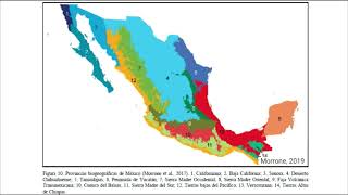 Regiones biogeográficas de México Región Neotropical [upl. by Aiuqal]