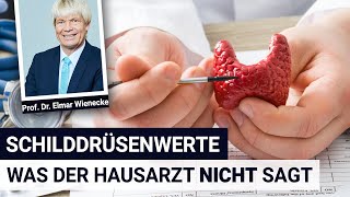 Schilddrüsenwerte was der Hausarzt NICHT sagt  Interview mit Prof Dr Wienecke [upl. by Llenyaj]