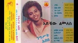 ንግሥት አበበ  አይቼው ልመለስ  Nigist Abebe [upl. by Ebbie244]