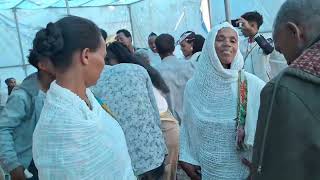 new tigray traditional wedding hot guayla krar by hagos  ደስ ዝብል ጓይላ ብክራርwedding live eritrea [upl. by Augustus]