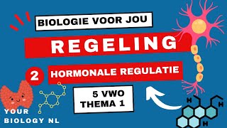 5 vwo  Regeling  2  Hormonale regulatie [upl. by Imogen]