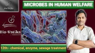 Bio vatika  class  12th  Microbes in human welfare II CHEMICAL Enzyme sewage treatment [upl. by Aikcir]