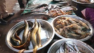 River Fish Market  cotton barrage  dowleswaram  Rajahmundry  Fish  crab  prawns [upl. by Ciprian]