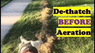 Why to DeThatch for Better Aeration Results with Grass Seed  Overseeding LAWN CARE [upl. by Zabrina]