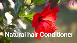 Easy amp Affordable DIY Moisturizing Deep Conditioner for Dry Hair [upl. by Aihtenak796]