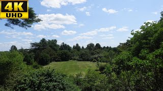 4K Walk in Massachusetts  The Arnold Arboretum of Harvard University [upl. by Earlene]