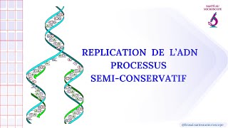 Réplication de lADN  1ère Spé SVT 2ème bac PC et SVT [upl. by Cordelie664]