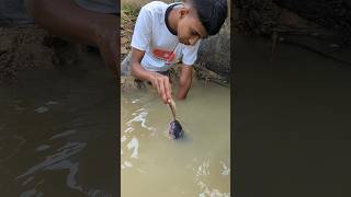 Attractive Unique Hand Fishing Challenge Video😲fishinghandfishingshorts [upl. by Landry258]