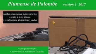 Plumeuse de Palombe [upl. by Couhp307]