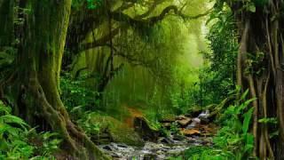 783 Hz Ancient Forest Rain Sounds for Rest Relaxation amp Deep Sleep Dark Screen ASMR [upl. by Alessig]