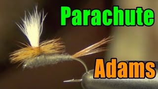 Parachute Adams Fly Tying  Best amp Most Versatile All Purpose Dry Fly Ever Invented [upl. by Yrallam]