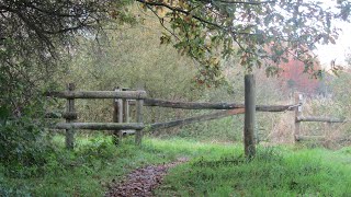 Oostkamp Moerbrugge  Herfstwandelen in de Warandeputten [upl. by Elohcan]