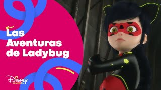 Las aventuras de Ladybug  Avance excIusivo Jaque Mate  Disney Channel Oficial [upl. by Farrish731]