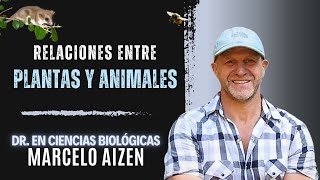 Relaciones entre plantas e insectos  Entrevista científico Marcelo Aizen [upl. by My]