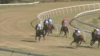 Yeppoon 20240803 Race 1 [upl. by Sadie180]