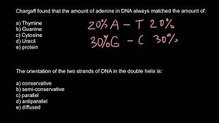 Chargaffs rule [upl. by Retsila]