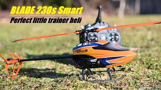 Blade 230s Smart The perfect little trainer heli [upl. by Skerl]