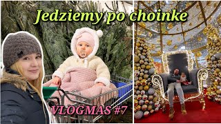 VLOGMAS 7  JEDZIEMY PO CHOINKE  Żywa choinka viral mama funnykid [upl. by Stinson]