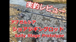 アブガルシアのショアジギングロッドで青物釣り [upl. by Asiuol759]