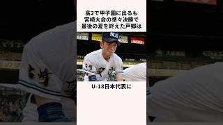 「スカウトを悩ませた」ブン投げ戸郷翔征に関する雑学野球野球解説 日本の野球選手 [upl. by Wane323]