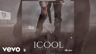 Shawn Storm  ICool Official Audio [upl. by Anitnemelc69]