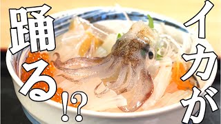 【函館朝市グルメ】とにかく新鮮で美味しいイカを食べるならココ！「一花亭たびじ」｜函館観光｜Vlog [upl. by Hogue156]