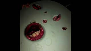 Death Grips  Year of The Snitch Full Album Release [upl. by Baum]