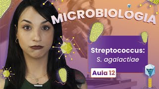 STREPTOCOCCUS Sagalactiae  Videoaula  Microbiologia  Flavonoide 12 [upl. by Krusche]