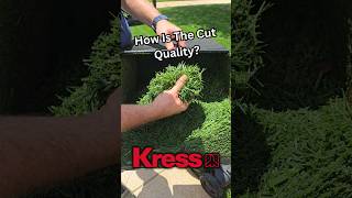 Kress 60V Lawn Mower How Is The Cut Quality [upl. by Nniroc]