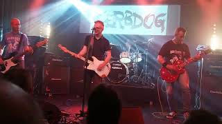 KERBDOG at Cyprus avenue Cork city IRELAND 21092024 [upl. by Clyde]