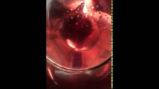 Sloe Gin  filtering [upl. by Berkshire]