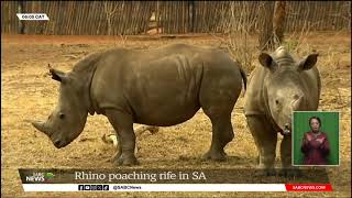 Rhino Poaching  About 499 rhinos killed in 2023 [upl. by Manas]