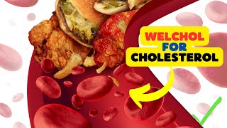 Welchol Colesevelam A Closer Look at Common Applications in Lowering Cholesterol Levels [upl. by Airdni]